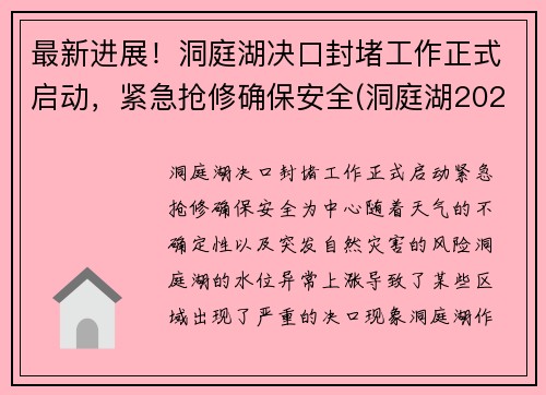 最新进展！洞庭湖决口封堵工作正式启动，紧急抢修确保安全(洞庭湖2021年治理最新消息)